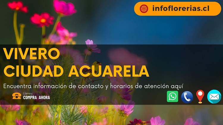 Vivero Ciudad Acuarela