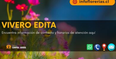 Vivero Edita