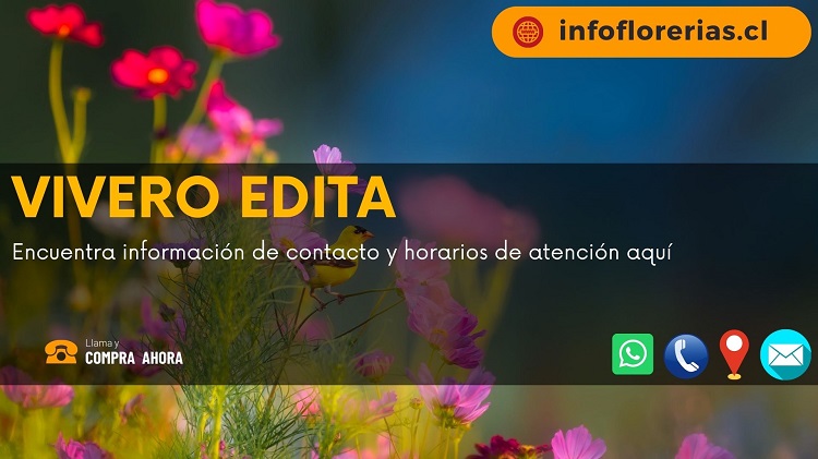 Vivero Edita