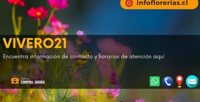 Vivero21