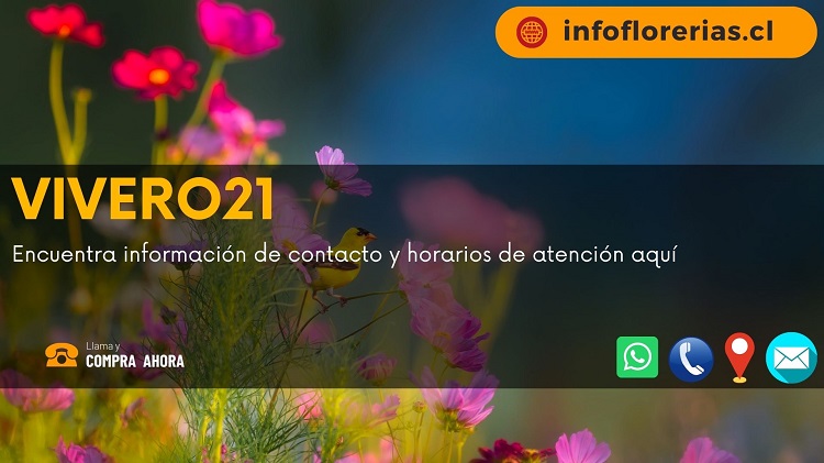 Vivero21