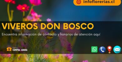 Viveros Don Bosco